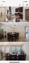 7050 Broomshedge Tr in Winter Garden, FL - Building Photo - Building Photo