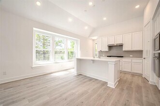 20942 Tortoise Shell Way in Cypress, TX - Building Photo - Building Photo