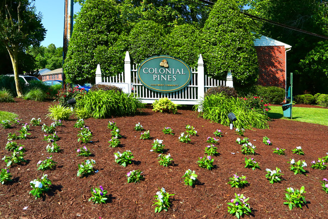 Colonial Pines in Williamsburg, VA - Building Photo - Building Photo