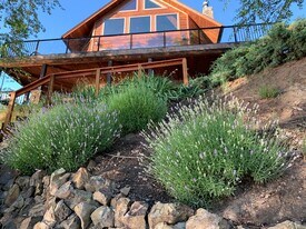 24245 Hewett Rd in Juliaetta, ID - Building Photo