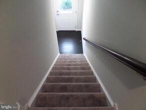 43359 Polenta Terrace in Chantilly, VA - Building Photo - Building Photo