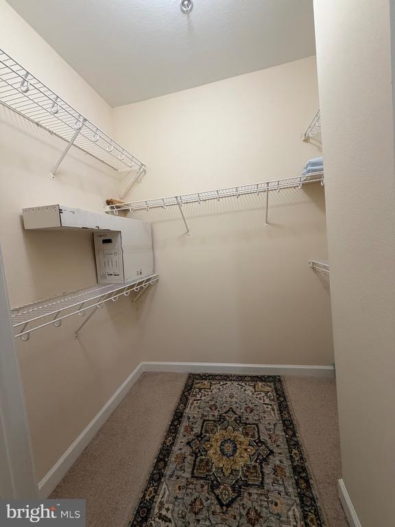 501 Hungerford Dr in Rockville, MD - Building Photo - Building Photo