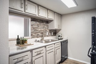 Silvermine in Victoria, TX - Building Photo
