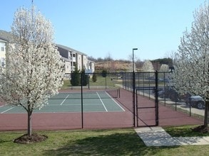 Malvern Lakes Apartments in Fredericksburg, VA - Building Photo - Building Photo