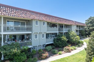 Stevens Creek Blvd in Santa Clara, CA - Building Photo