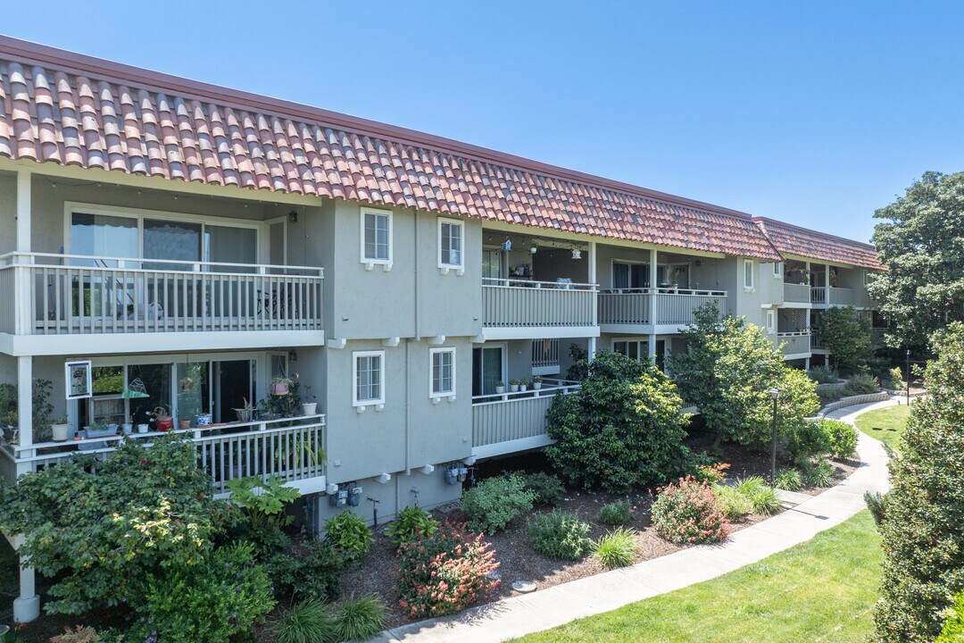 Stevens Creek Blvd in Santa Clara, CA - Building Photo