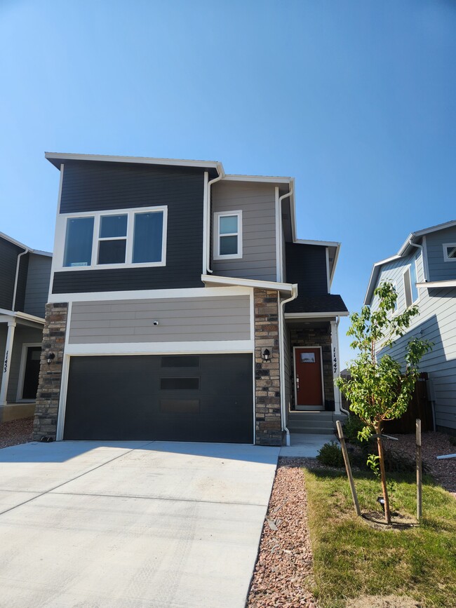11447 Piping Plover Pl in Colorado Springs, CO - Building Photo - Building Photo