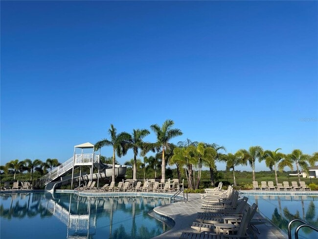 3417 Amber Waves Dr in Plant City, FL - Building Photo - Building Photo