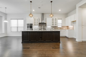 17203 Texas Pistache Dr in Dallas, TX - Building Photo - Building Photo