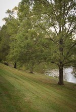 Woodsmill Village Apartment Homes in Ballwin, MO - Foto de edificio - Building Photo