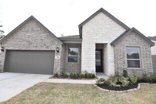 15524 Leopard Lily Ln in Conroe, TX - Building Photo