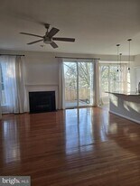 20323 Swallow Point Rd in Gaithersburg, MD - Building Photo