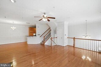 5113 Knapp Pl in Alexandria, VA - Building Photo - Building Photo