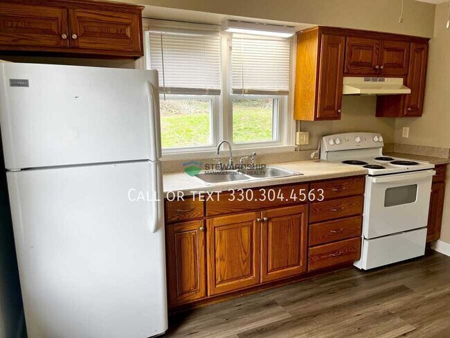 133 Catherine St in Wooster, OH - Foto de edificio - Building Photo