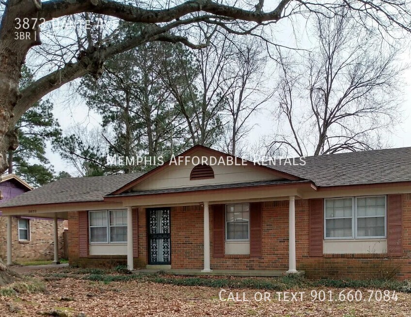 3873 Dante Ave in Memphis, TN - Building Photo