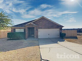 257 Dodge City Trail in Newark, TX - Building Photo