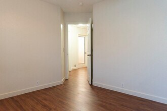113 Coreopsis Cove in Kyle, TX - Building Photo - Building Photo