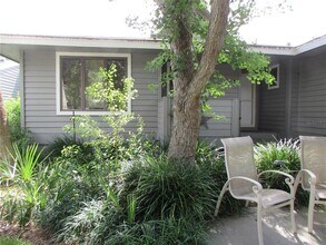 1013 Lake Avoca Ct in Tarpon Springs, FL - Building Photo - Building Photo