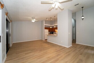 14 Santiago Ct in St. Augustine, FL - Building Photo - Building Photo