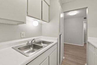 Magnolia Flats in Austin, TX - Building Photo - Building Photo