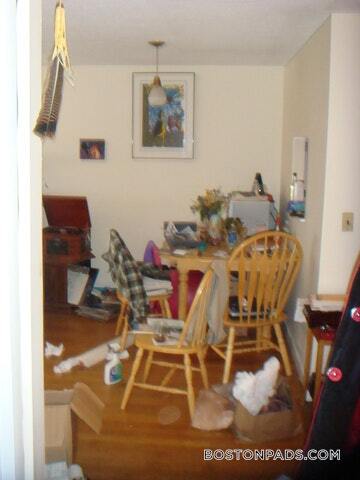 66 Homer Ave in Cambridge, MA - Building Photo - Building Photo