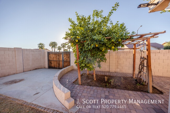 6677 W Acapulco Ln in Glendale, AZ - Building Photo - Building Photo