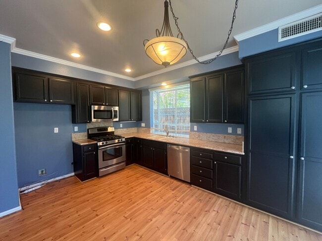 36935 Papaya St in Newark, CA - Building Photo - Building Photo