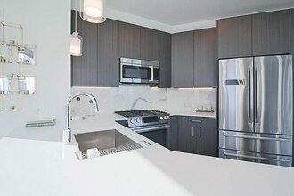 495 N Park Dr in Chicago, IL - Building Photo - Building Photo