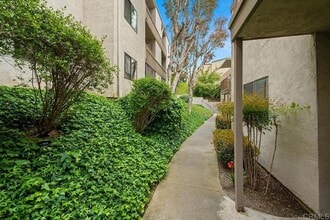 6725 Mission Gorge Rd, Unit 102A in San Diego, CA - Building Photo - Building Photo