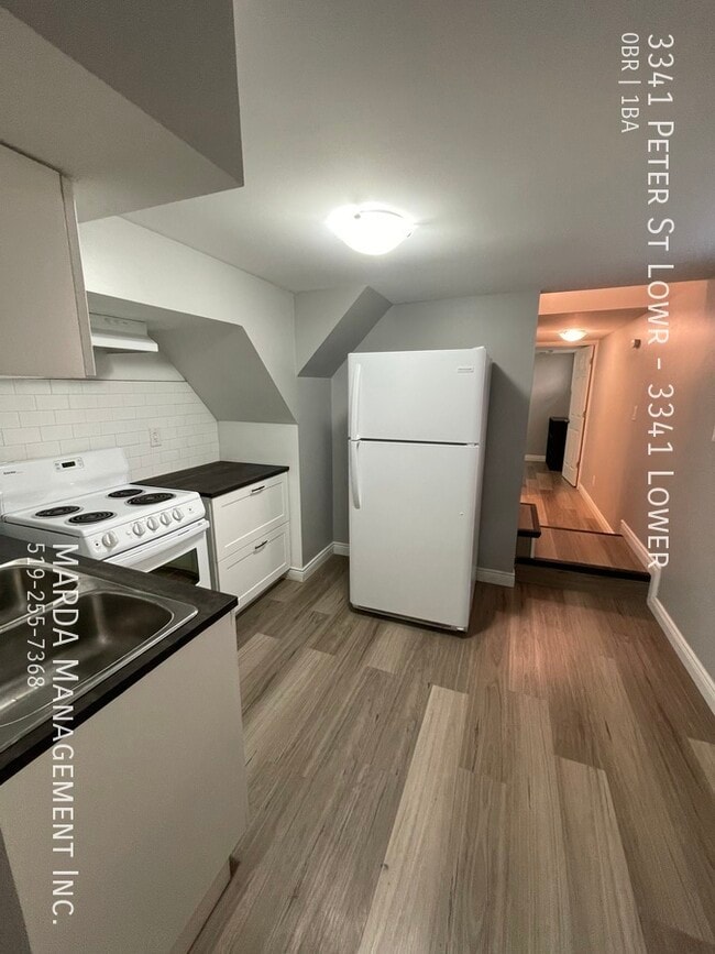 property at 3341 Peter St