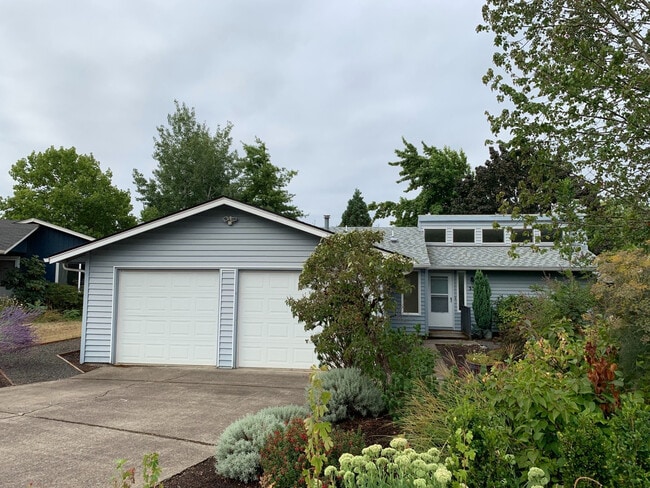 property at 338 Marlon St