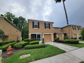 4529 Winding River Way in Land O Lakes, FL - Building Photo