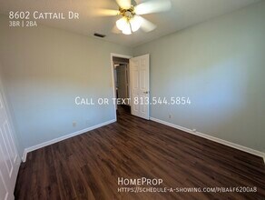8602 Cattail Dr in Tampa, FL - Building Photo - Building Photo