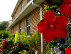 Sturwood Hamlet Apartments