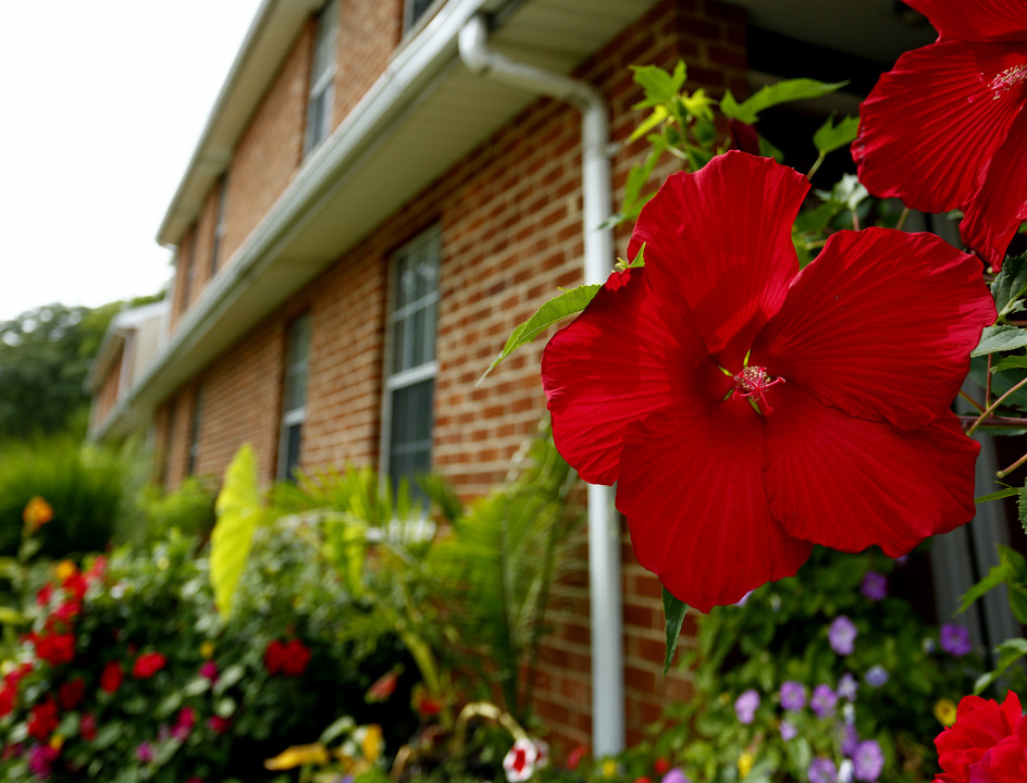 Sturwood Hamlet Apartments Photo