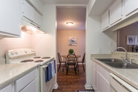 Willow Tree Apartments in Baytown, TX - Building Photo - Interior Photo