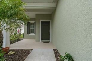 11223 Woodlake Way in Parrish, FL - Foto de edificio - Building Photo