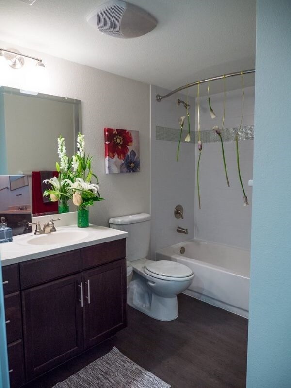 The Roxton Apartments Denton, TX Apartments For Rent