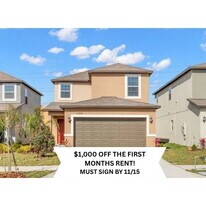 5008 Wild Senna Blvd in Tampa, FL - Building Photo