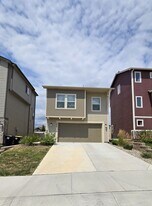 1034 Cana Grove in Colorado Springs, CO - Building Photo