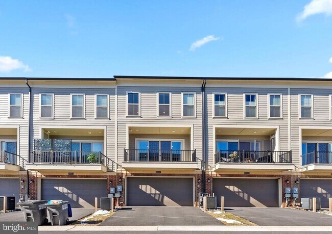 20661 Newcomb Ter in Ashburn, VA - Building Photo - Building Photo