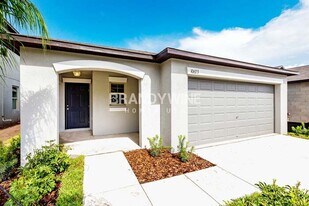 10611 Sweet Sapling St in Riverview, FL - Building Photo