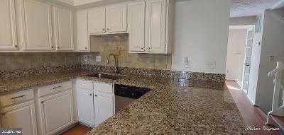 7937 Tyson Oaks Cir in Vienna, VA - Building Photo - Building Photo