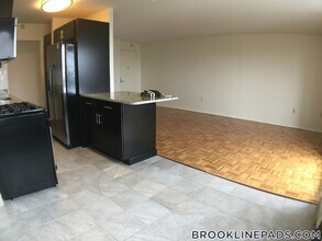 185 Freeman St in Brookline, MA - Building Photo - Building Photo