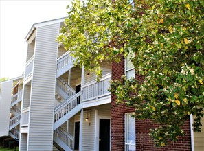 Creekside Canopy in Charlotte, NC - Building Photo - Building Photo