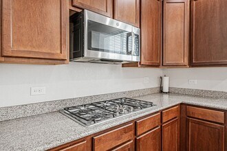 2057 Broadleaf Loop in Castle Rock, CO - Building Photo - Building Photo
