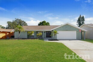 3518 Springfield Dr in Holiday, FL - Building Photo