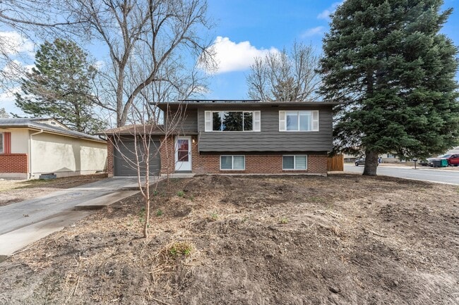 4503 Bella Dr in Colorado Springs, CO - Building Photo - Building Photo