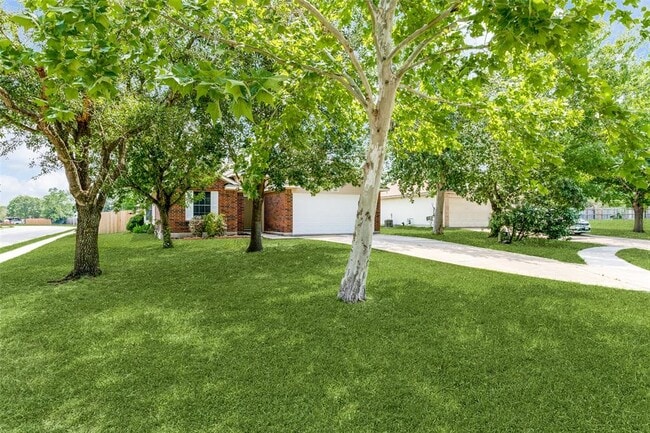 101 Cotton Cove in Hutto, TX - Building Photo - Building Photo