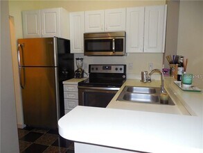 4107 Chatham Oak Ct in Tampa, FL - Building Photo - Building Photo